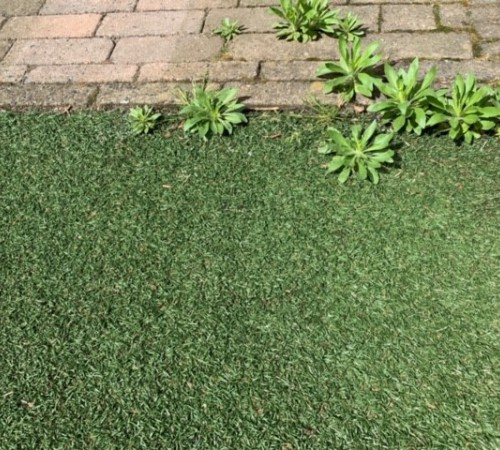 Een team als erfenis Een team als erfenis