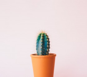 Incompany trainingen als onderdeel van je werving en selectie Incompany trainingen als onderdeel van je werving en selectie