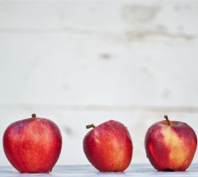 Hybride leren - 5 tips voor trainers Hybride leren - 5 tips voor trainers