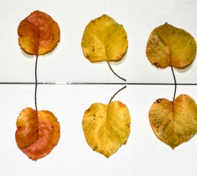 Wat levert projectmatig werken op? Wat levert projectmatig werken op?